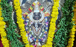 teacher image